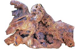 African-Wood-s