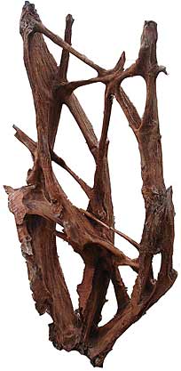 Mangrove-wood-5-6-Ft-s
