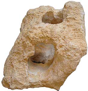 Pegoda-s