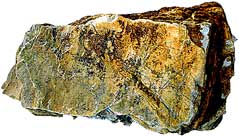 Petrified-Wood-s