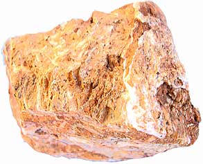 Petrified-Woods-s