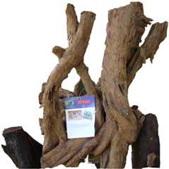 Reptile-Wood-s
