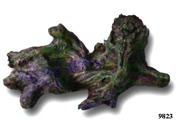 orn06b