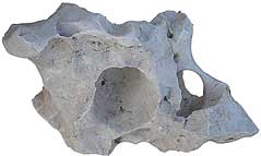 holeyrock