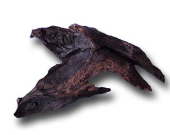 log6