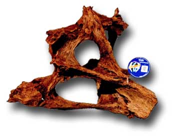 realwood01