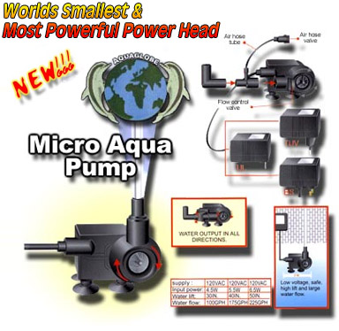 Click here to jump to this Item
